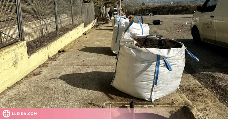 Balaguer realitza una plantació d'arbres a prop de l'Institut Almatà