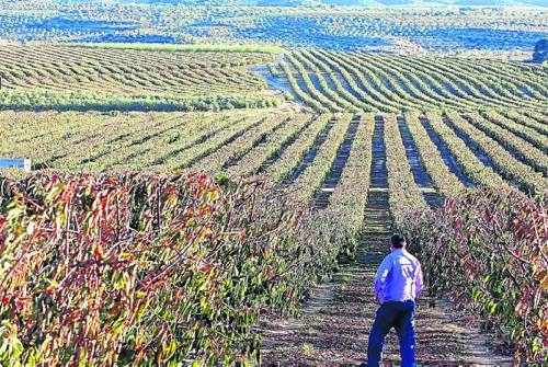 El Segrià Sud, a punt a la primavera amb un 70% de regants apuntats