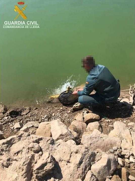 Més de 370 denúncies de pesca en els darrers dos anys a Lleida