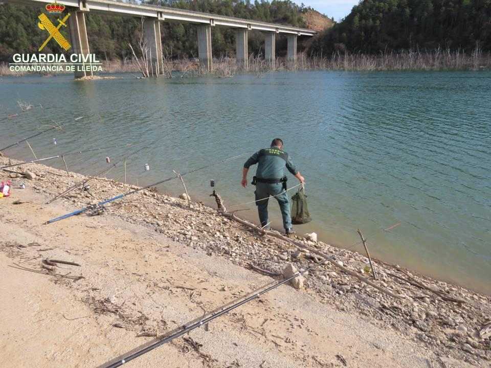 Més de 370 denúncies de pesca en els darrers dos anys a Lleida