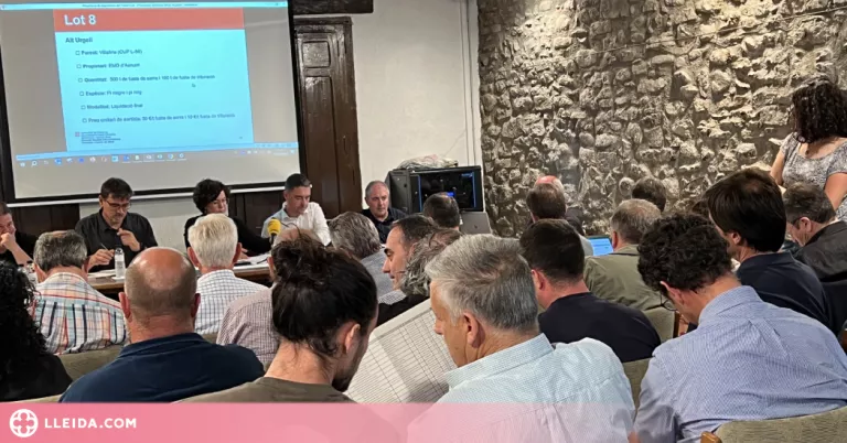 Subhasten més de 32.332 tones de fusta dels boscos públics catalans