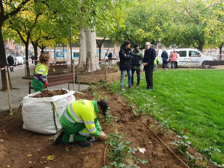 La Paeria de Lleida obre un expedient sancionador a l’empresa de jardineria per "incompliments reiterats"