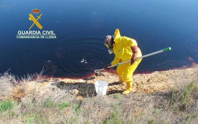 El Seprona investiga una empresa de fertilitzants de Soses per la mort d'una vintena d'aus
