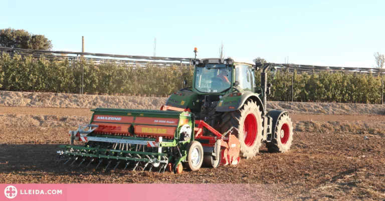 ⏯️ Pagesos de la plana d'Urgell deixen de sembrar entre un 50% i un 70% de les hectàrees de cereal d'hivern per la sequera