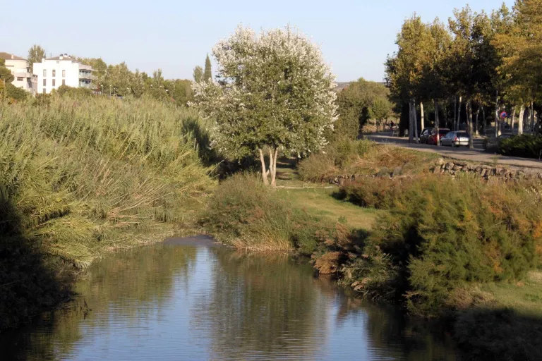 Tàrrega aprova un nou projecte per a recuperar els espais verds de la llera del riu Ondara
