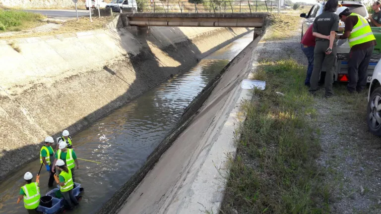 Endesa inicia el buidatge dels canals de Balaguer, Térmens i Lleida per fer-hi treballs de manteniment