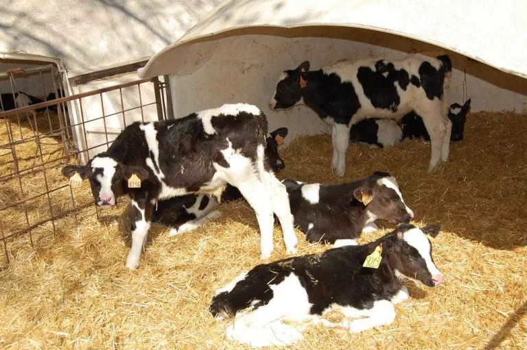 Les empreses de Lleida doblen les exportacions des de l’any 2006