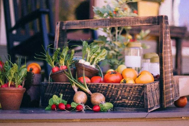 Nevera buida? Idees per omplir-la d'hàbits saludables després de vacances