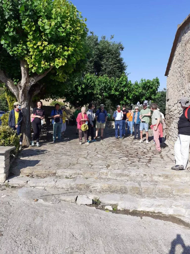 Els Museus de Guissona, La Noguera i tàrrega atansen l'arqueologia a la gent