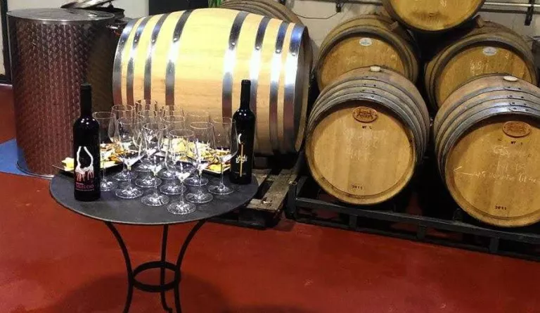 Celler Matallonga, un projecte familiar en un entorn natural