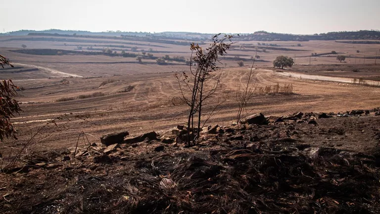 Els pagesos afectats per l'incendi de la Segarra comencen a cobrar els ajuts