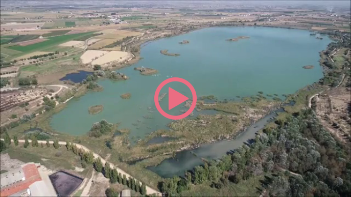 ⏯️ L'estany d'Ivars i Vila-sana ja ha baixat uns 75 centímetres el nivell de l'aigua des de l'inici del buidatge