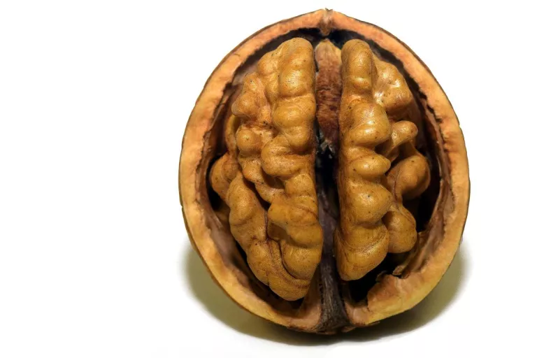 Psiconeuronutrició, el concepte psicológic de l'alimentació