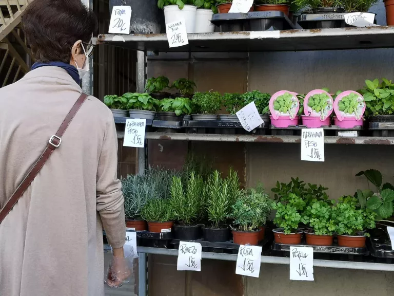 El sector de les flors: “El virus ens ha robat la primavera”
