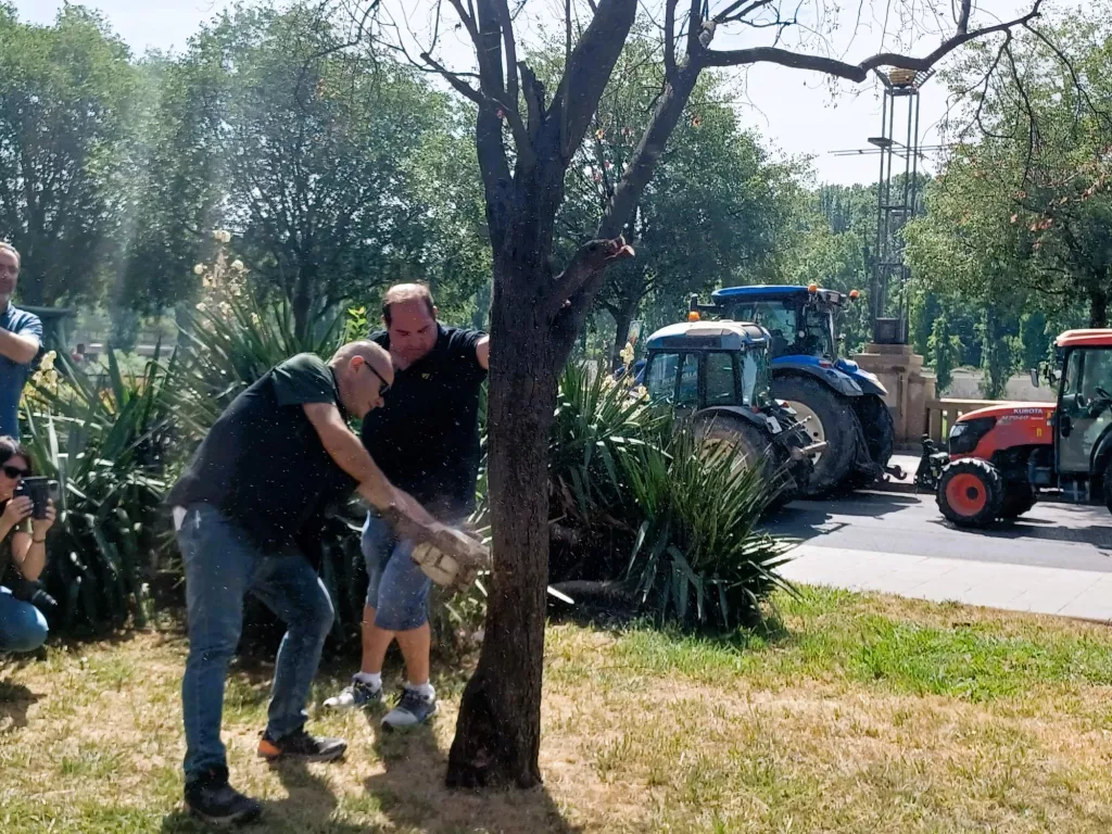 ⏯️ Un centenar de tractors es concentren a Lleida per exigir solucions davant la sequera