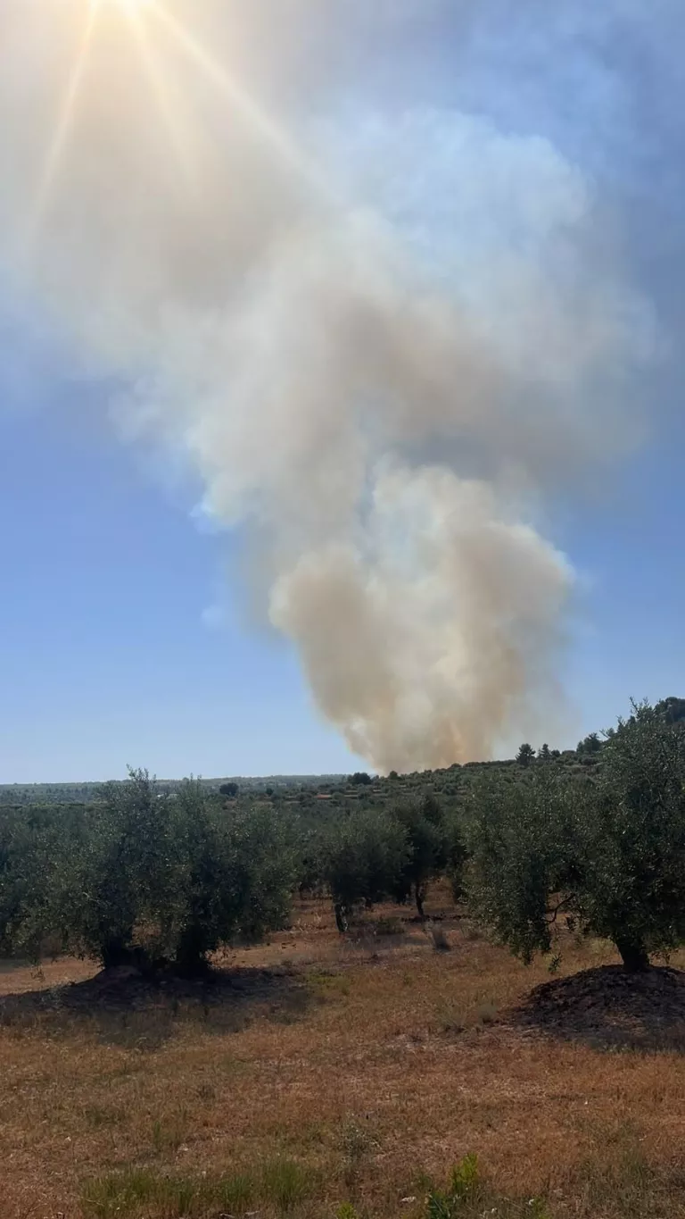 Els Bombers estabilitzen l’incendi a l’Albi que ha obligat a interrompre l’AVE entre Lleida i Barcelona