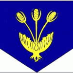 Bandera de Vall de Cardós