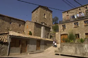 Bassella