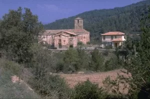 Olius