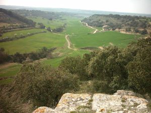 Tarroja de Segarra