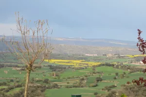 Torrefeta i Florejacs