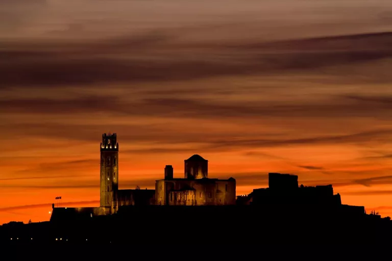 Associació Amics de la Seu Vella