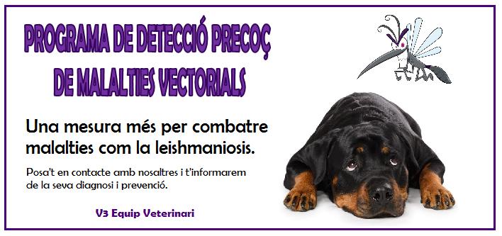 Campanya de detecció de malalties vectorials