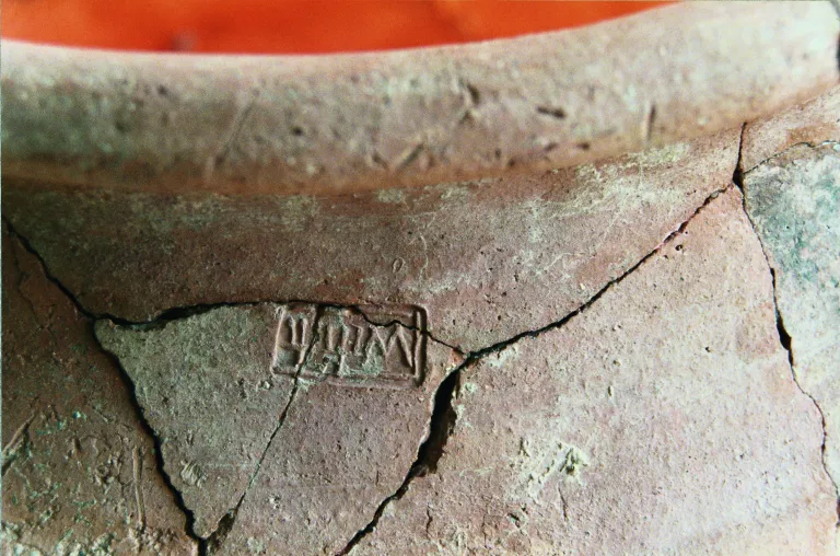 El Museu ens parla de tu