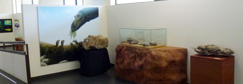 Dinosfera