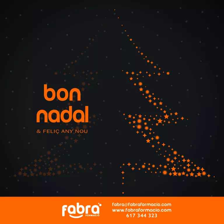 BON NADAL I FELIÇ ANY NOU 2017