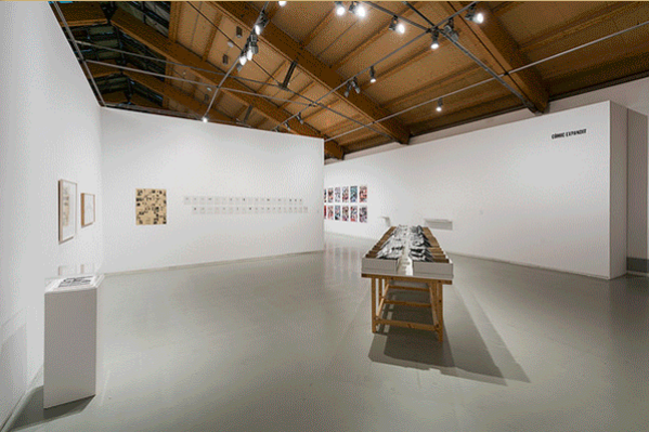 Exposicions, visites guiades i activitats familiars durant la Nit dels Museus