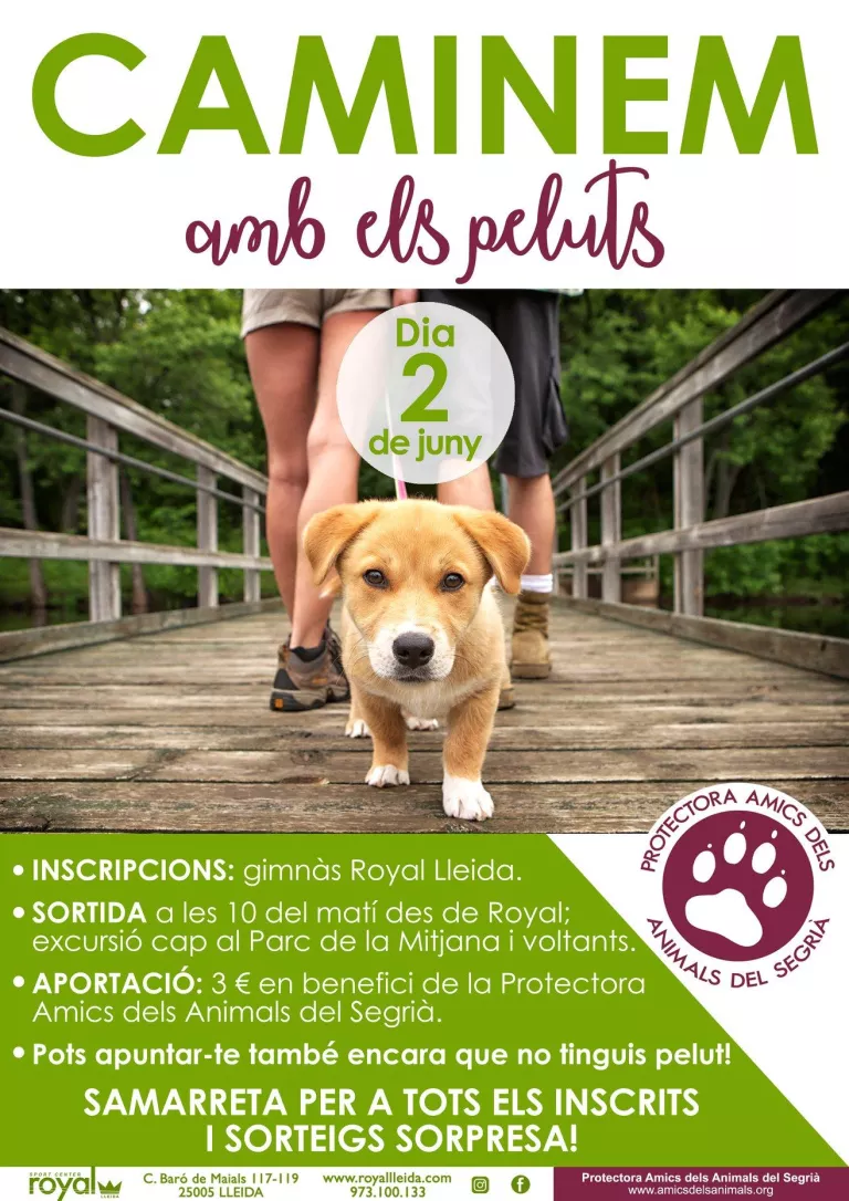 El gimnàs Royal organitza una caminada amb peluts i solidària