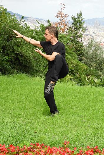 Matinal de Qigong i Taichi Chuan amb Techu Toledo