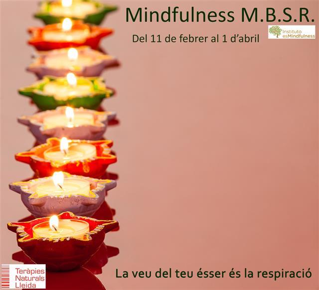 Conferència sobre Mindfulness