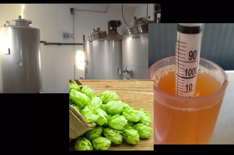 Origen mitològic de la cervesa