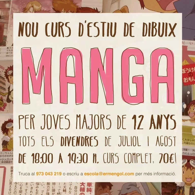 Curs de Manga per l'estiu