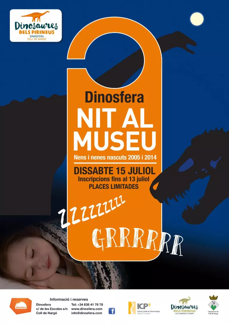 Nit al Museu