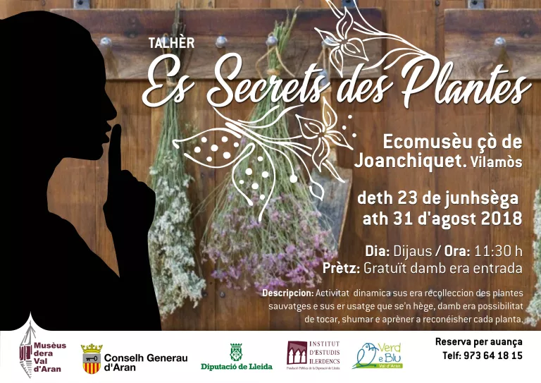 Activitats d'estiu a l'Ecomuseu çò de Joanchiquet de Vilamòs.