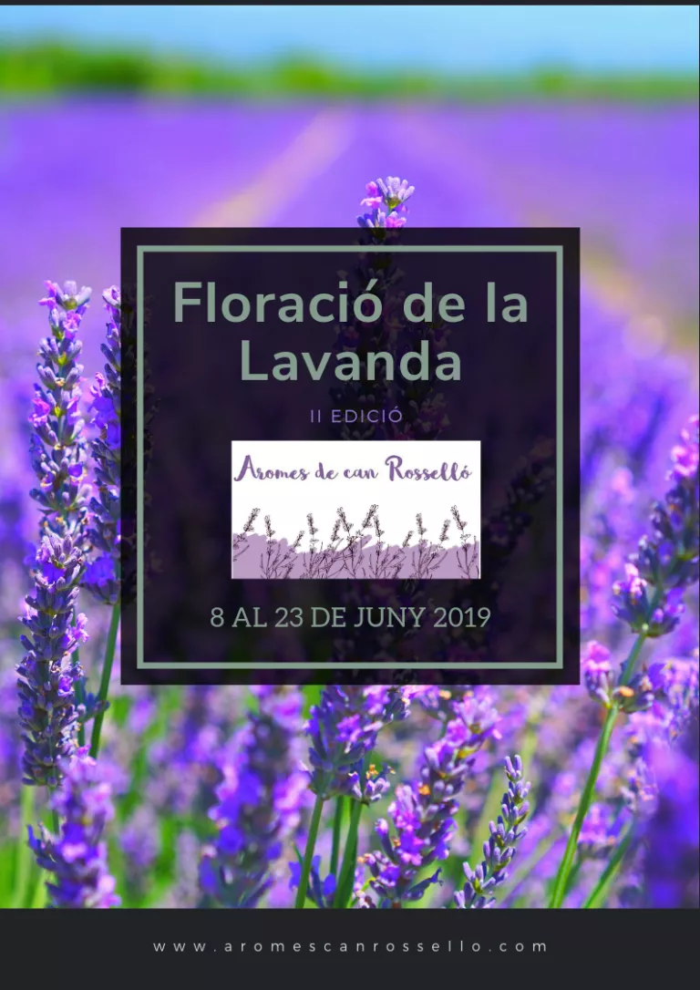 Vine a gaudir del camp de lavanda d'Aromes de Can Rosselló