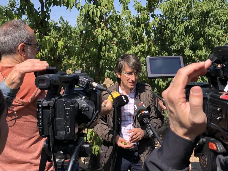 Afrucat proposa compartir les restriccions d’aigua al camp amb els usos domèstics per aconseguir un tercer reg a l’estiu i intentar salvar els arbres