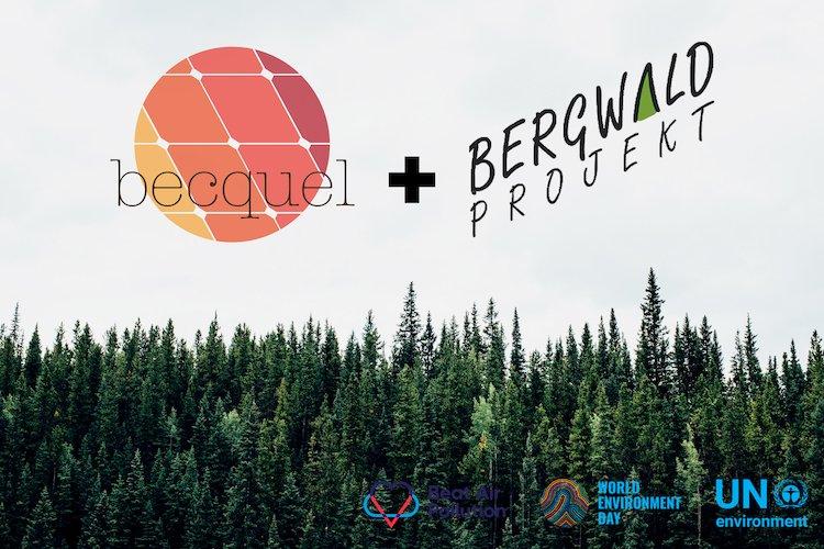 Dia del Medi Ambient: Becquel et canvia un comentari per un arbre
