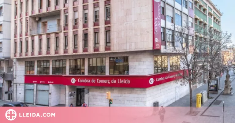 Preview Cambra Lleida