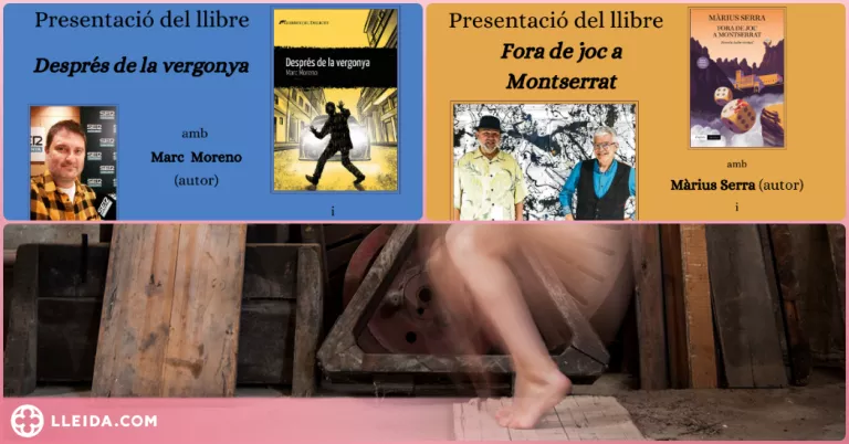 Preview Agenda de novembre a la irreductible