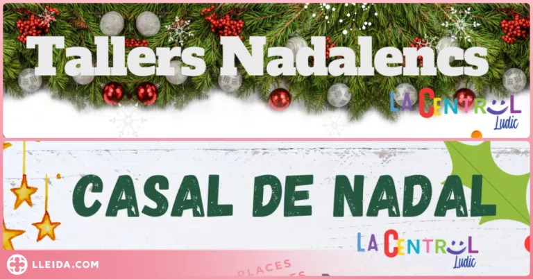 Casals i Tallers de Nadal Ludic La Central