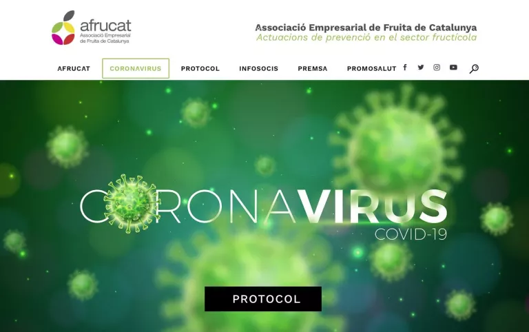 Afrucat elabora un protocol complet d'actuació per a la prevenció del coronavirus a les centrals de fruita