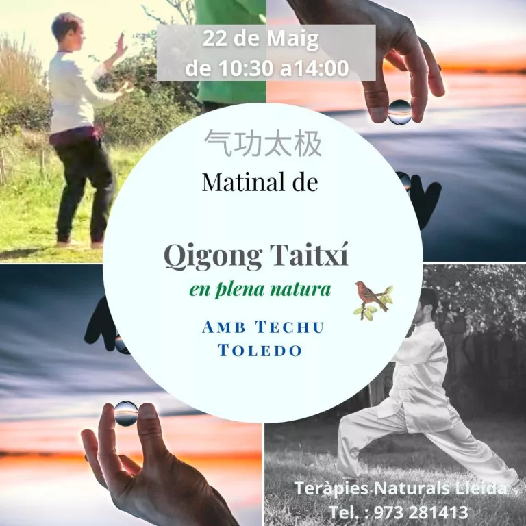 Matinal de Qigong Taitxí en plena natura amb Techu Toledo