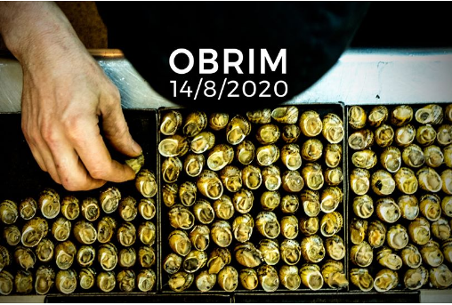 Tornem a obrir