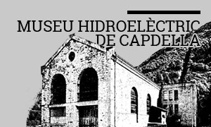 VISITES