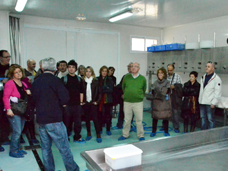 Visites guiades