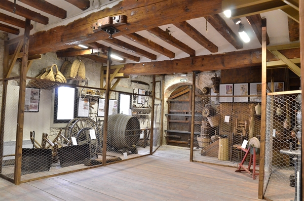 MUSEU DE L'EVOLUCIÓ